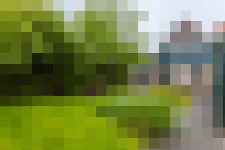 Utgong 18 Beetsterzwaag thumbnail 10