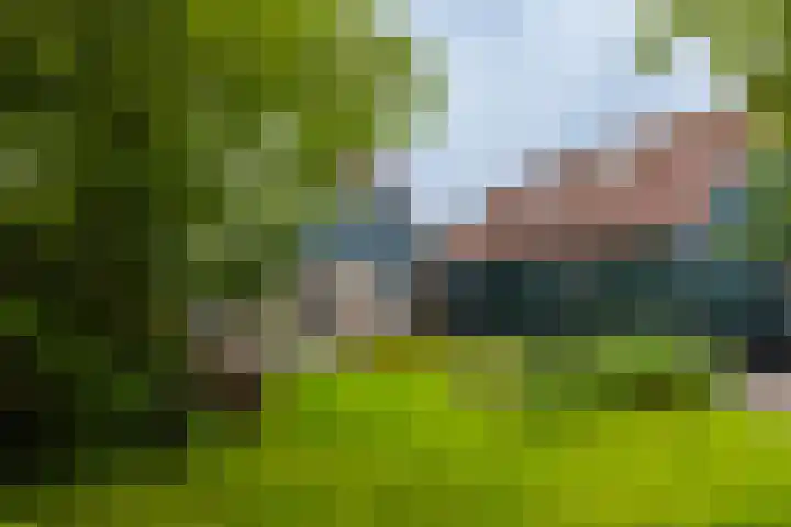 Utgong 18 Beetsterzwaag thumbnail 11