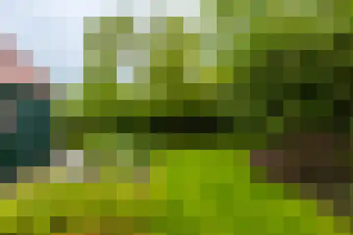 Utgong 18 Beetsterzwaag thumbnail 13