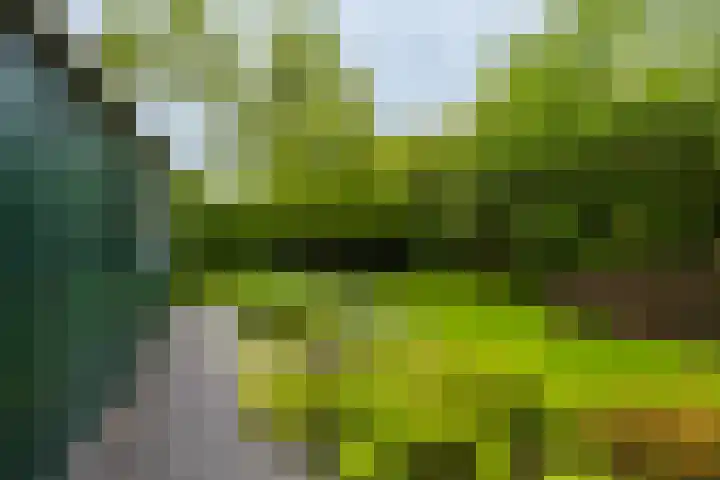 Utgong 18 Beetsterzwaag thumbnail 14
