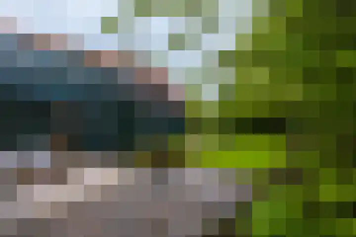 Utgong 18 Beetsterzwaag thumbnail 16