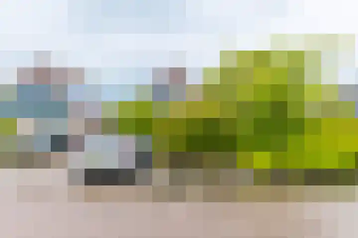 Utgong 18 Beetsterzwaag thumbnail 18