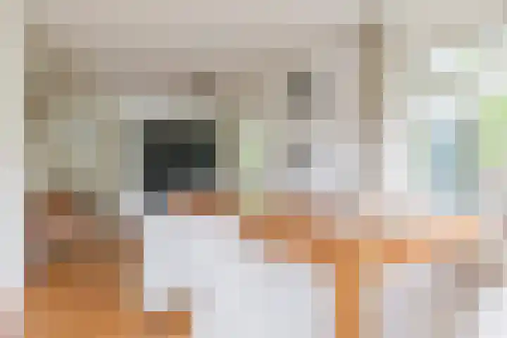 Utgong 18 Beetsterzwaag thumbnail 29
