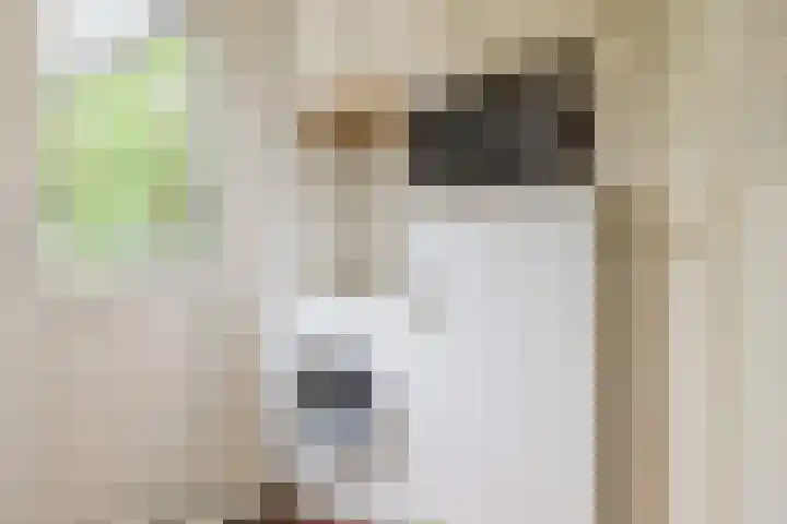 Utgong 18 Beetsterzwaag thumbnail 34