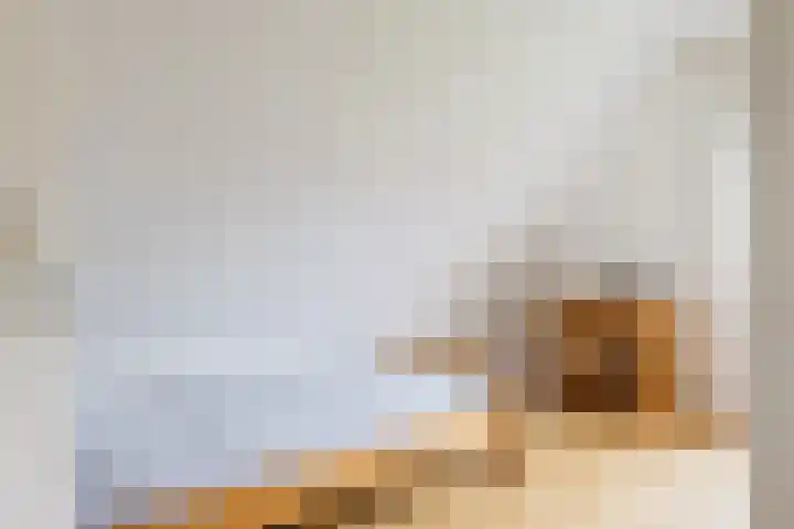 Utgong 18 Beetsterzwaag thumbnail 41