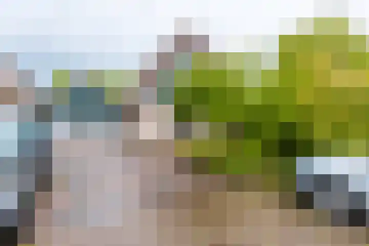 Utgong 18 Beetsterzwaag thumbnail 8