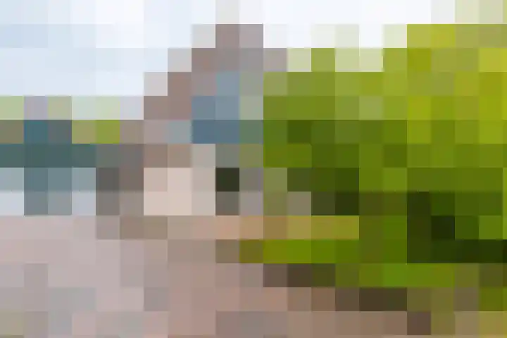 Utgong 18 Beetsterzwaag thumbnail 9