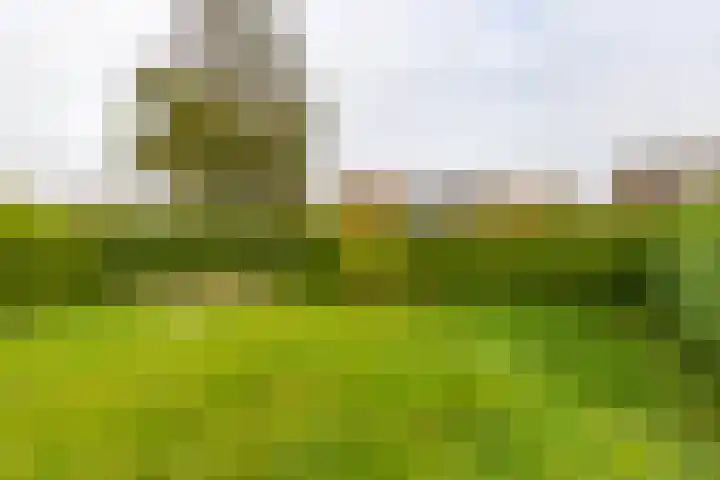 Utgong 38 Beetsterzwaag thumbnail 27