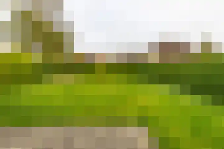 Utgong 38 Beetsterzwaag thumbnail 28