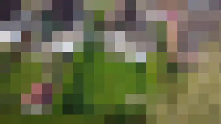 Utgong 38 Beetsterzwaag thumbnail 29