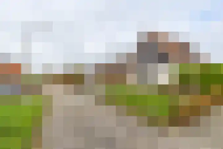 Utgong 38 Beetsterzwaag thumbnail 37