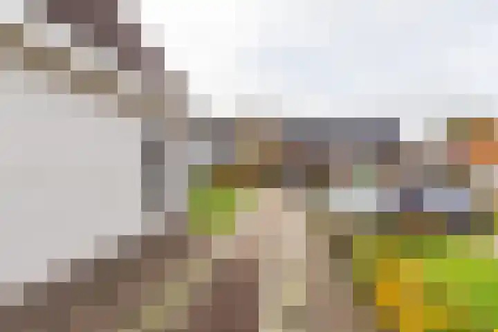 Utgong 38 Beetsterzwaag thumbnail 38