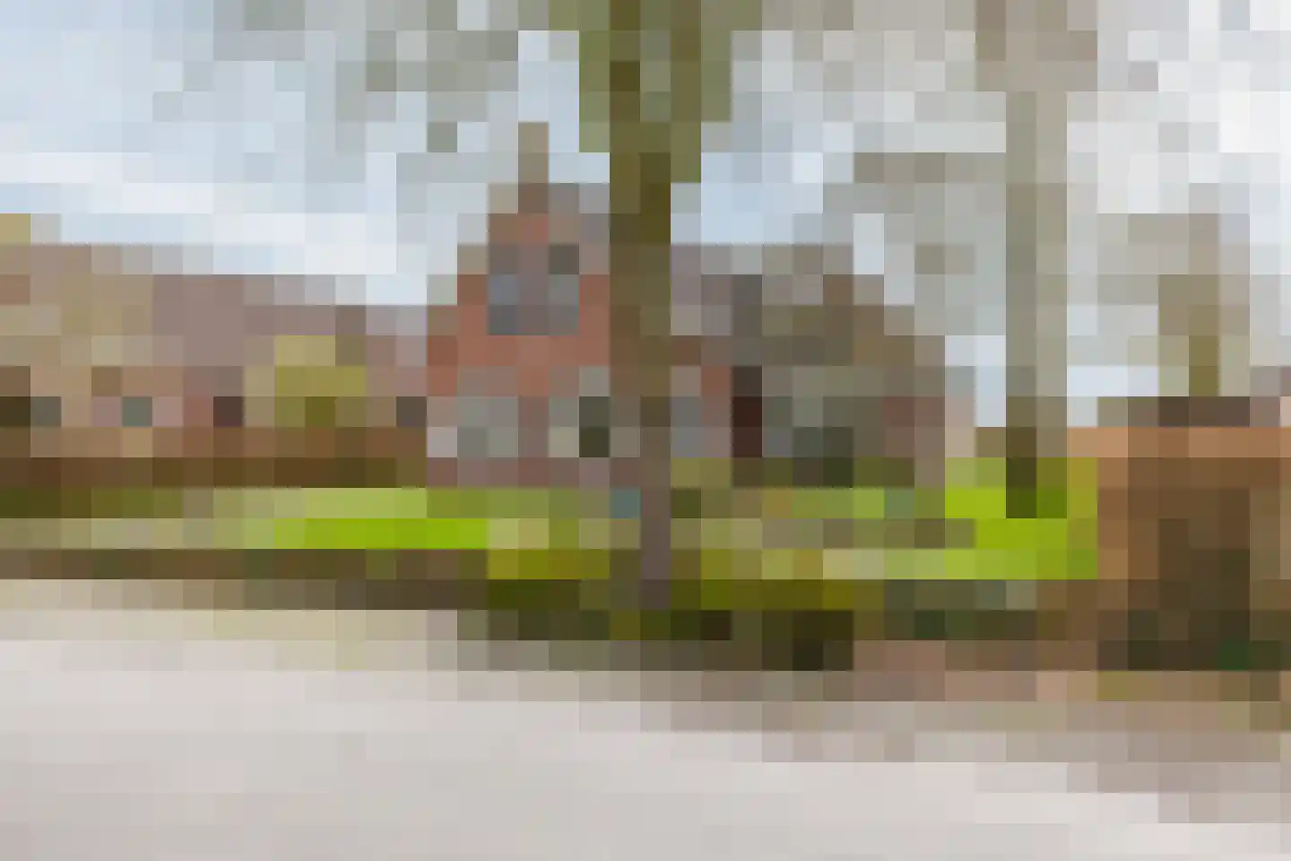 Uthôf 11 Siegerswoude thumbnail 11