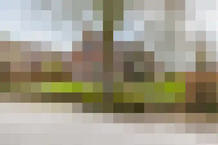 Uthôf 11 Siegerswoude thumbnail 11