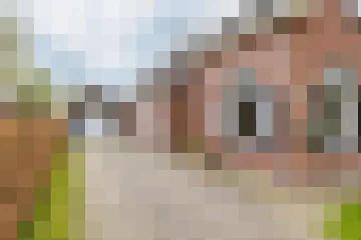 Uthôf 11 Siegerswoude thumbnail 13