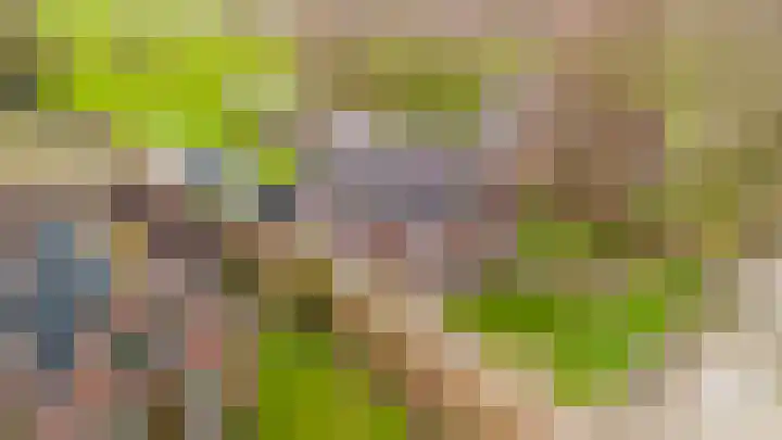 Uthôf 11 Siegerswoude thumbnail 21