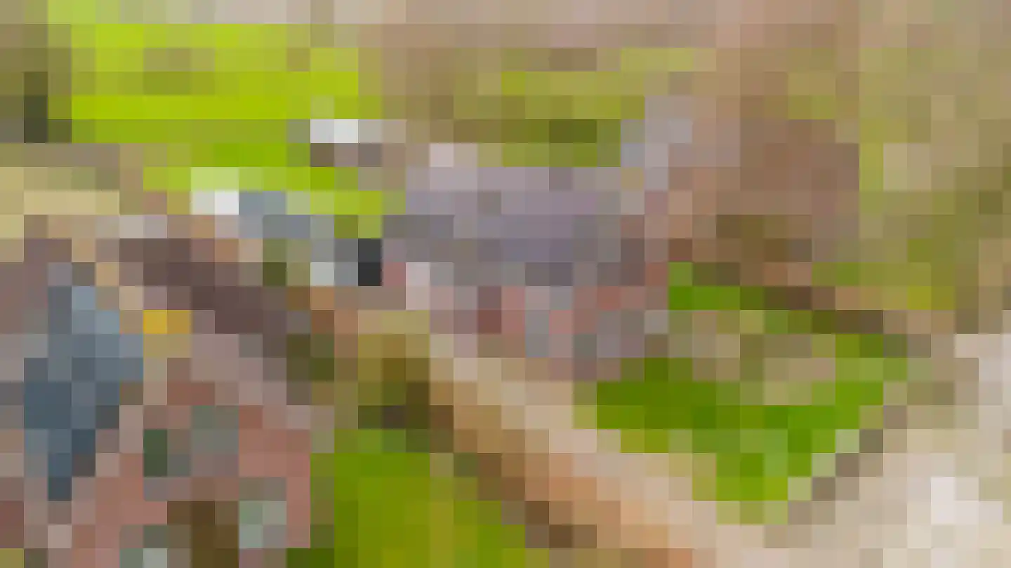 Uthôf 11 Siegerswoude thumbnail 21