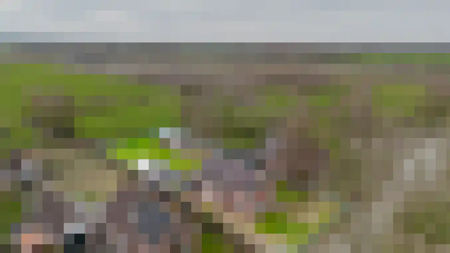 Uthôf 11 Siegerswoude thumbnail 22