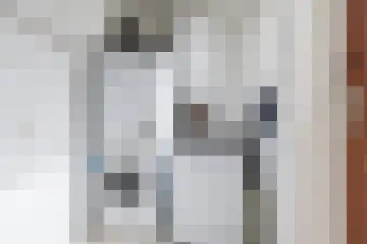Uthôf 11 Siegerswoude thumbnail 47