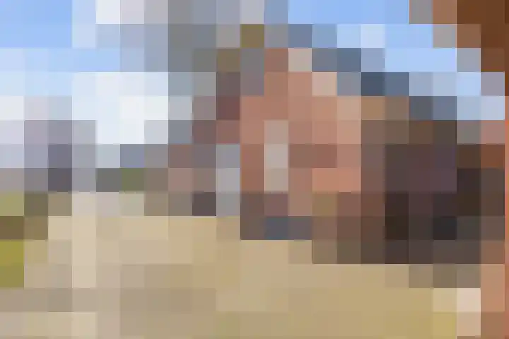 Uthôf 4 Siegerswoude thumbnail 34