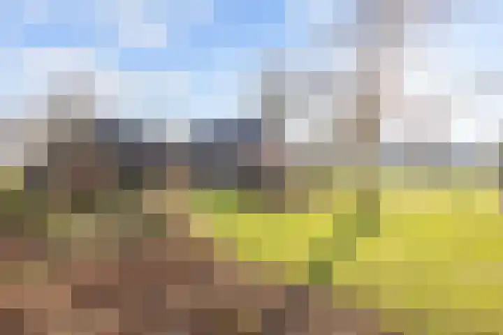 Uthôf 4 Siegerswoude thumbnail 37