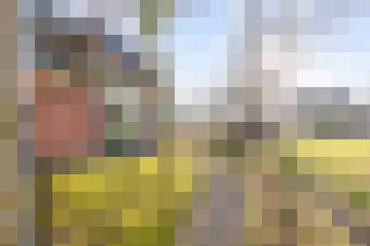 Uthôf 4 Siegerswoude thumbnail 44