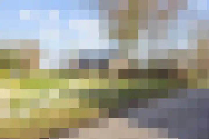 Uthôf 4 Siegerswoude thumbnail 8