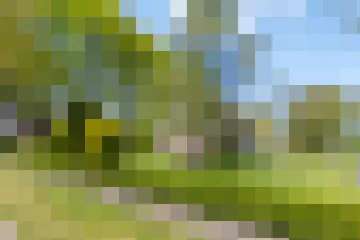 Uthôf 6 Siegerswoude thumbnail 10