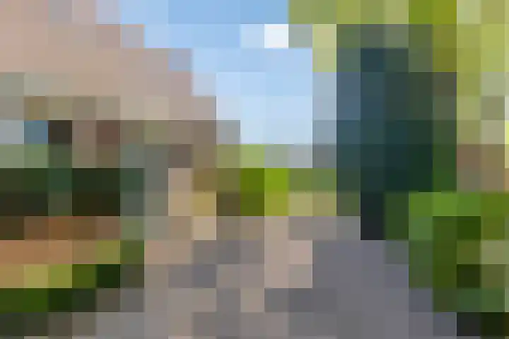 Uthôf 6 Siegerswoude thumbnail 14