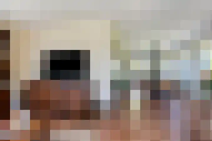 Uthôf 6 Siegerswoude thumbnail 20