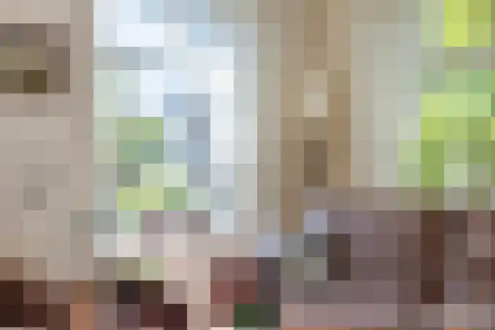 Uthôf 6 Siegerswoude thumbnail 21