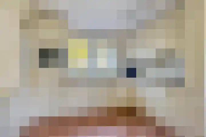 Uthôf 6 Siegerswoude thumbnail 24