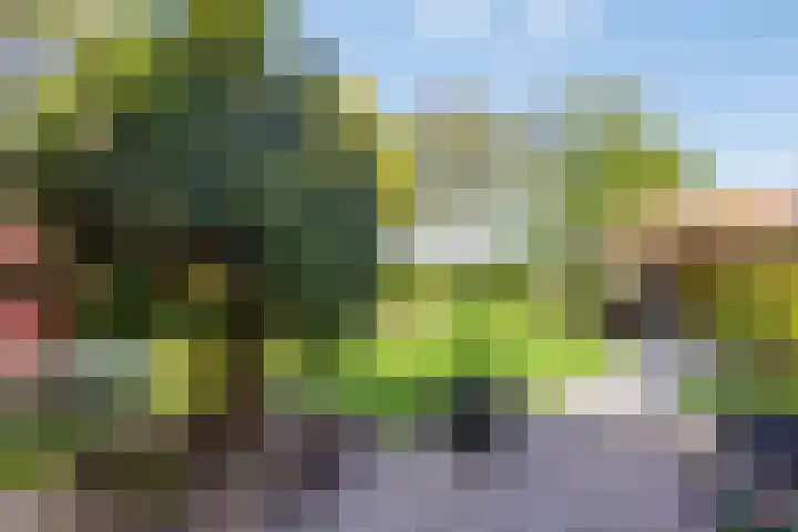 Uthôf 6 Siegerswoude thumbnail 42