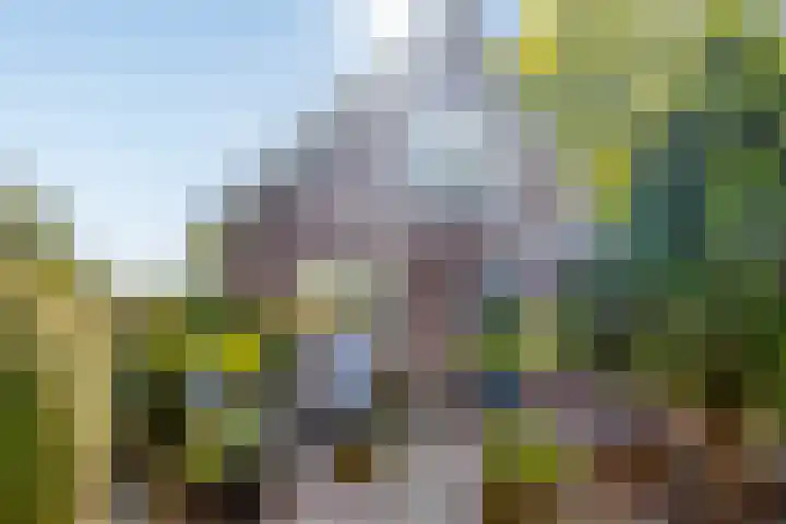 Uthôf 6 Siegerswoude thumbnail 43