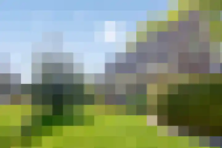 Uthôf 6 Siegerswoude thumbnail 44