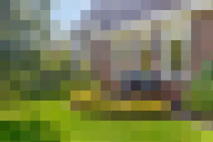 Uthôf 6 Siegerswoude thumbnail 45