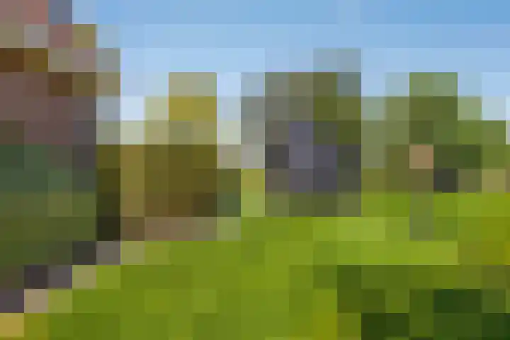 Uthôf 6 Siegerswoude thumbnail 46