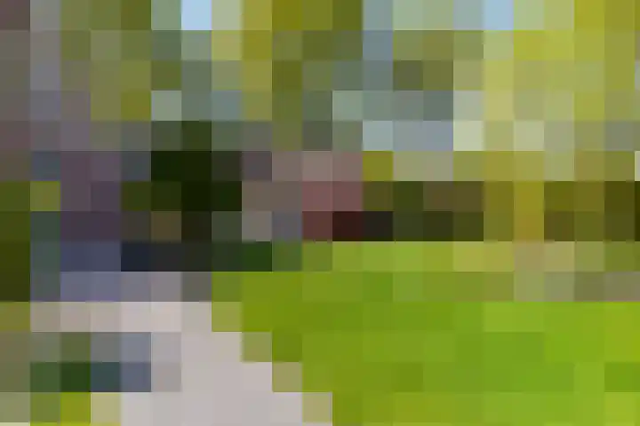Uthôf 6 Siegerswoude thumbnail 47