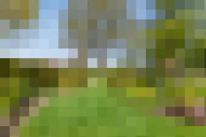 Uthôf 6 Siegerswoude thumbnail 48
