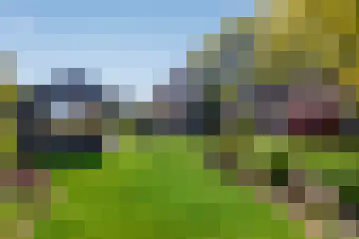 Uthôf 6 Siegerswoude thumbnail 49