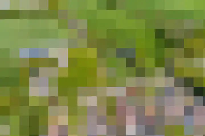 Uthôf 6 Siegerswoude thumbnail 5