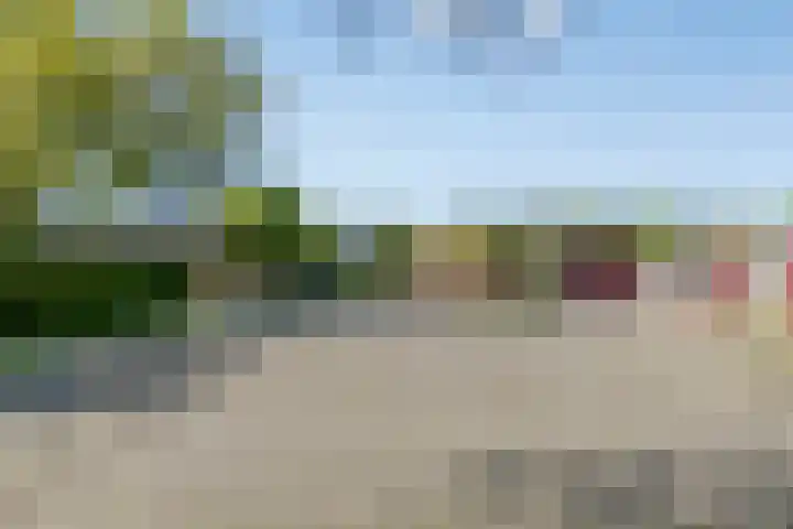 Uthôf 6 Siegerswoude thumbnail 50