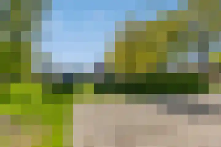 Uthôf 6 Siegerswoude thumbnail 51