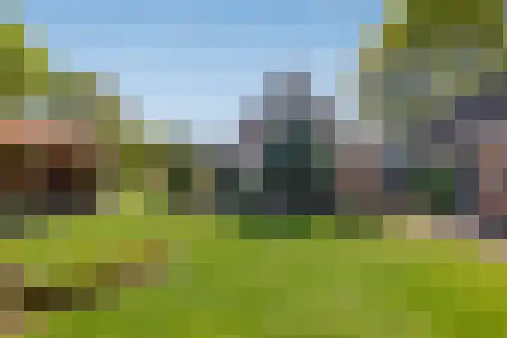Uthôf 6 Siegerswoude thumbnail 52