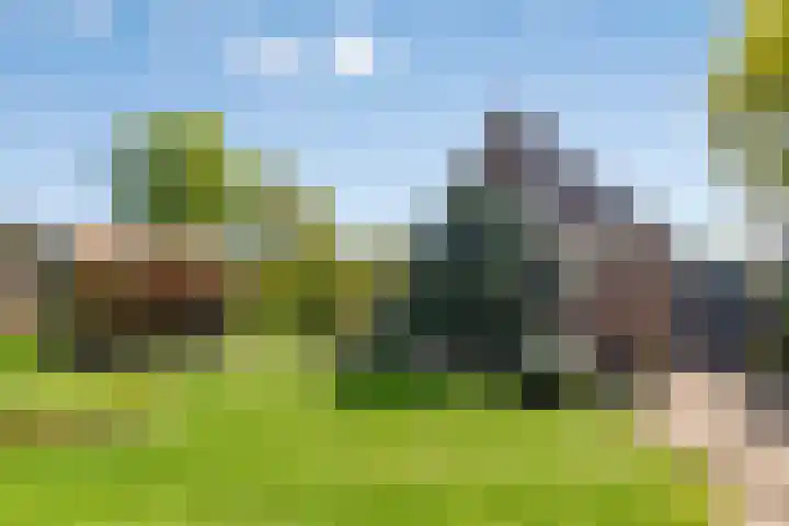 Uthôf 6 Siegerswoude thumbnail 53