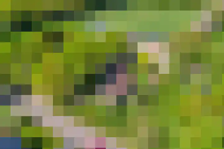 Uthôf 6 Siegerswoude thumbnail 54