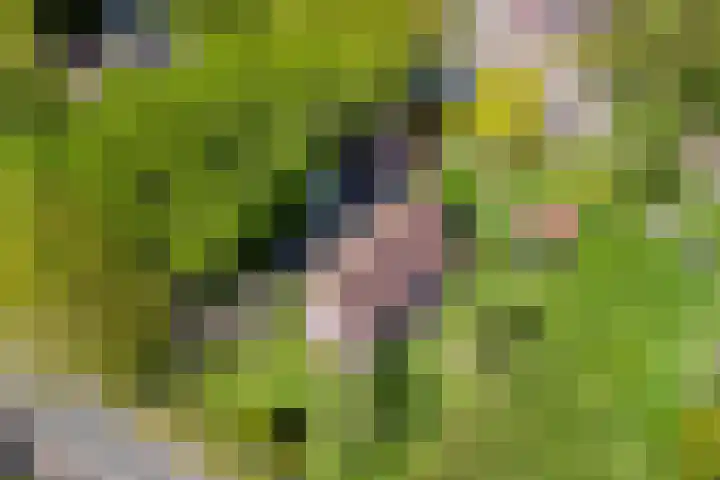 Uthôf 6 Siegerswoude thumbnail 55