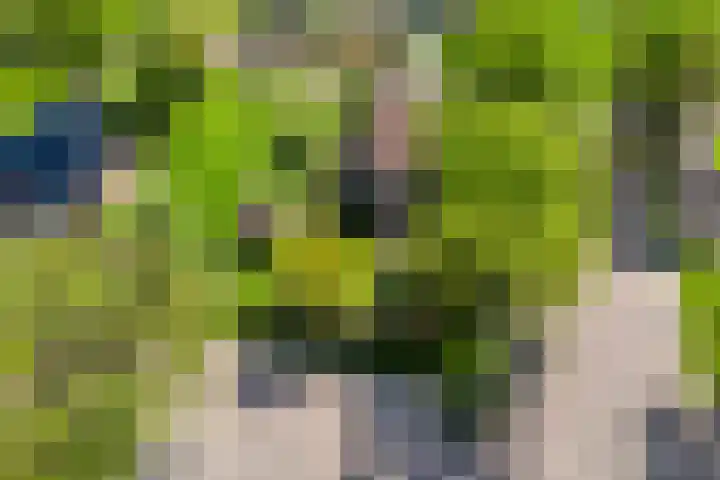 Uthôf 6 Siegerswoude thumbnail 56