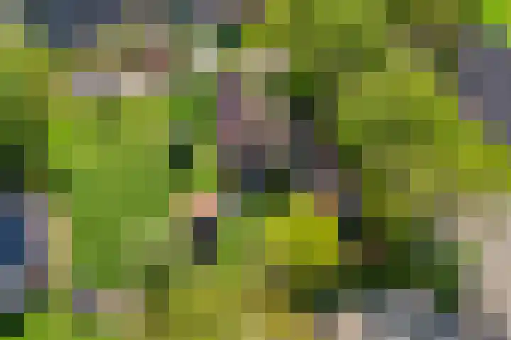 Uthôf 6 Siegerswoude thumbnail 57