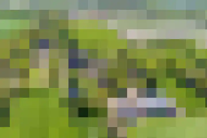 Uthôf 6 Siegerswoude thumbnail 58